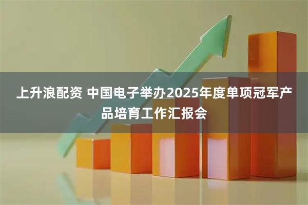 上升浪配资 中国电子举办2025年度单项冠军产品培育工作汇报会