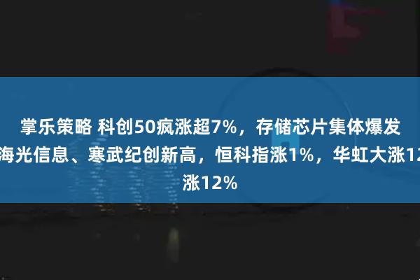 掌乐策略 科创50疯涨超7%，存储芯片集体爆发、海光信息、寒武纪创新高，恒科指涨1%，华虹大涨12%