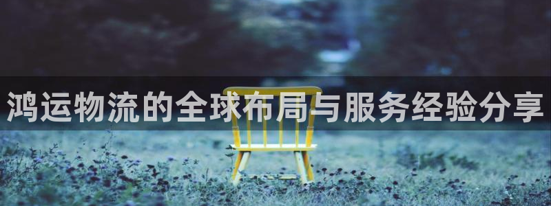 豪门国际模拟器下载：鸿运物流的全球布