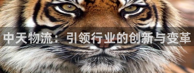 豪门国际充值不到账什么原因：中天物流
