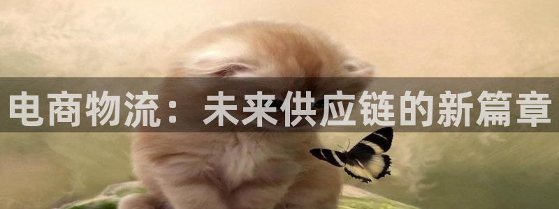 豪门国际注册链接：电商物流：未来供应