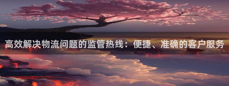 豪门国际二维码：高效解决物流问题的监