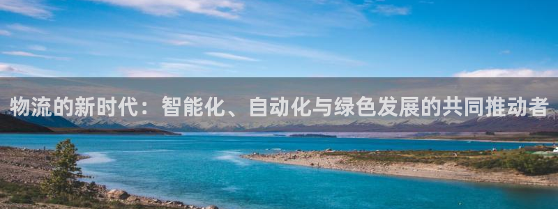 豪门国际p图上分下款通道