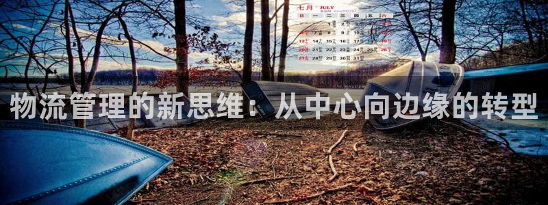 豪门国际登录不上咋回事：物流管理的新