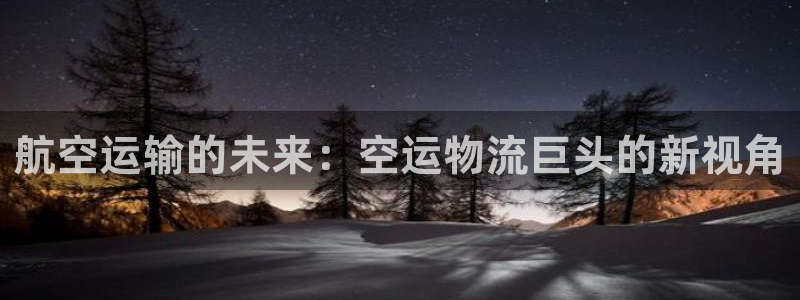 豪门国际体育下载：航空运输的未来：空