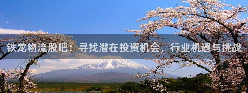豪门国际ip被限制怎么解决：铁龙物流