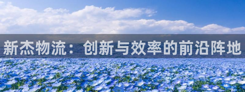 豪门国际注册网址百度知道：新杰物流：