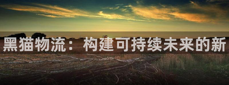 豪门国际大舞台