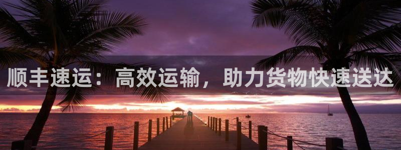 豪门国际预测加拿大师准：顺丰速运：高