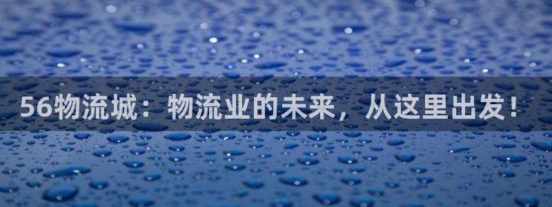 豪门国际大神预测：56物流城：物流业