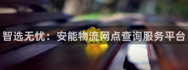 豪门国际官方版正版