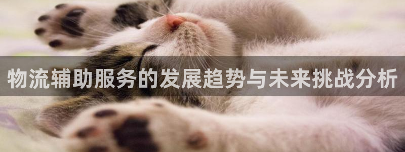 豪门国际注册链接：物流辅助服务的发展
