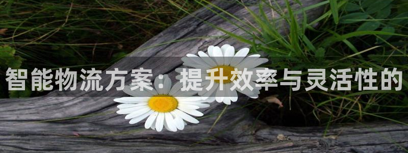 豪门国际怎么注册游戏名字：智能物流方案：提升效率与灵活性的