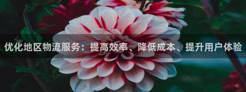 豪门国际p扣除：优化地区物流服务：提