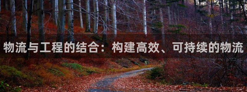 豪门国际pg如何退钱：物流与工程的结