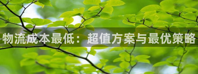 豪门国际预测：物流成本最低：超值方案