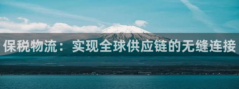 豪门国际代理落网：保税物流：实现全球