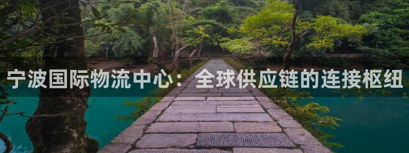 豪门国际哪个最赚钱：宁波国际物流中心