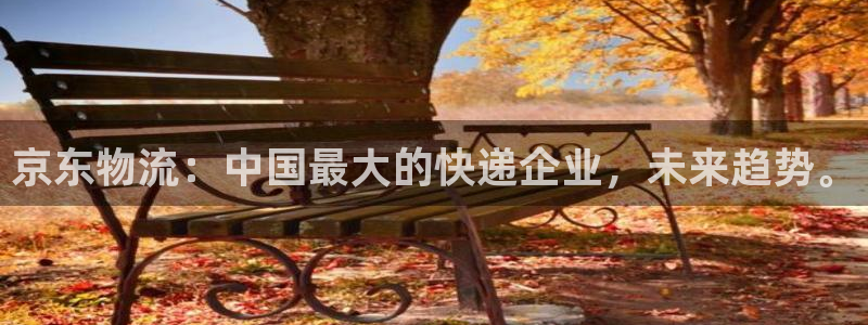豪门国际头像：京东物流：中国最大的快