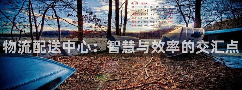 豪门国际取保：物流配送中心：智慧与效