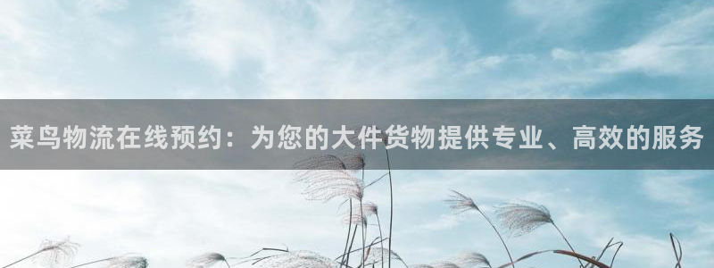 豪门国际如何看计划：菜鸟物流在线预约