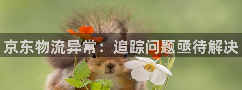 豪门国际大舞台：京东物流异常：追踪问